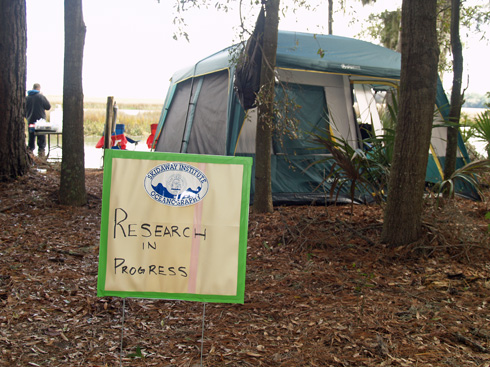 The outdoor laboratory on the bluff at Groves Creek. 