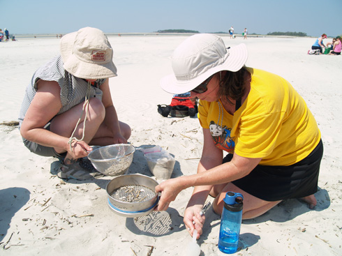 Participants in a July 2014 teacher’s workshop focusing on marine debris sift through the sands of Tybee Island in search of microplastic particles. 