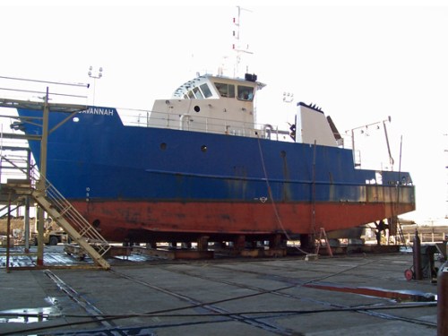 RV Savannah Haulout 1 w