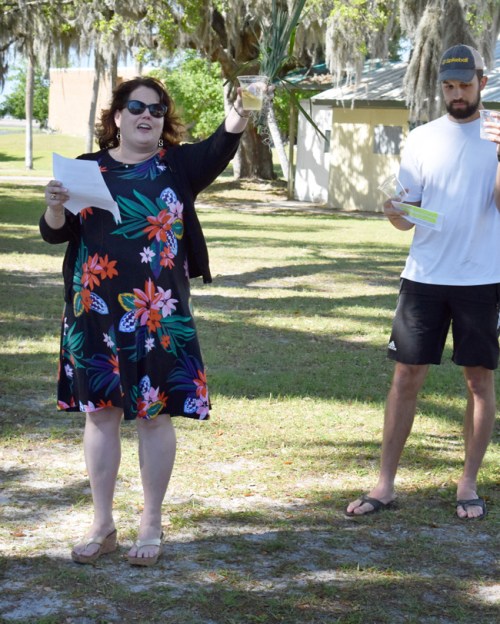 Glider Christen 2 650p