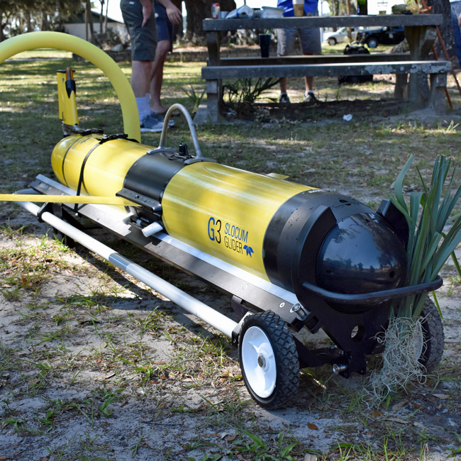 Glider Christen 4 sq 650p