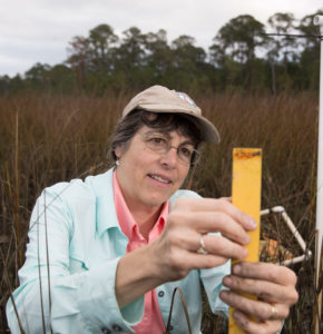 Alber-Merryl-inset-290x300