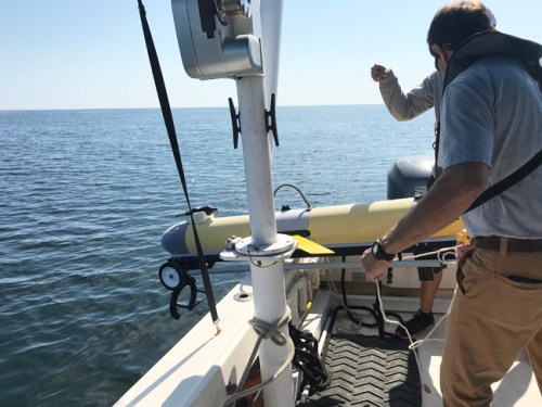 Fish Migration 1 650p